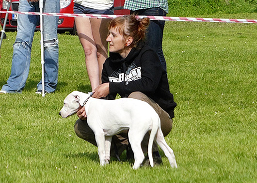 KVP v Choťovicích Moloss club cz